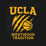 UCLA Basketball - Design Closeup