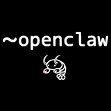 ~/.openclaw Tee