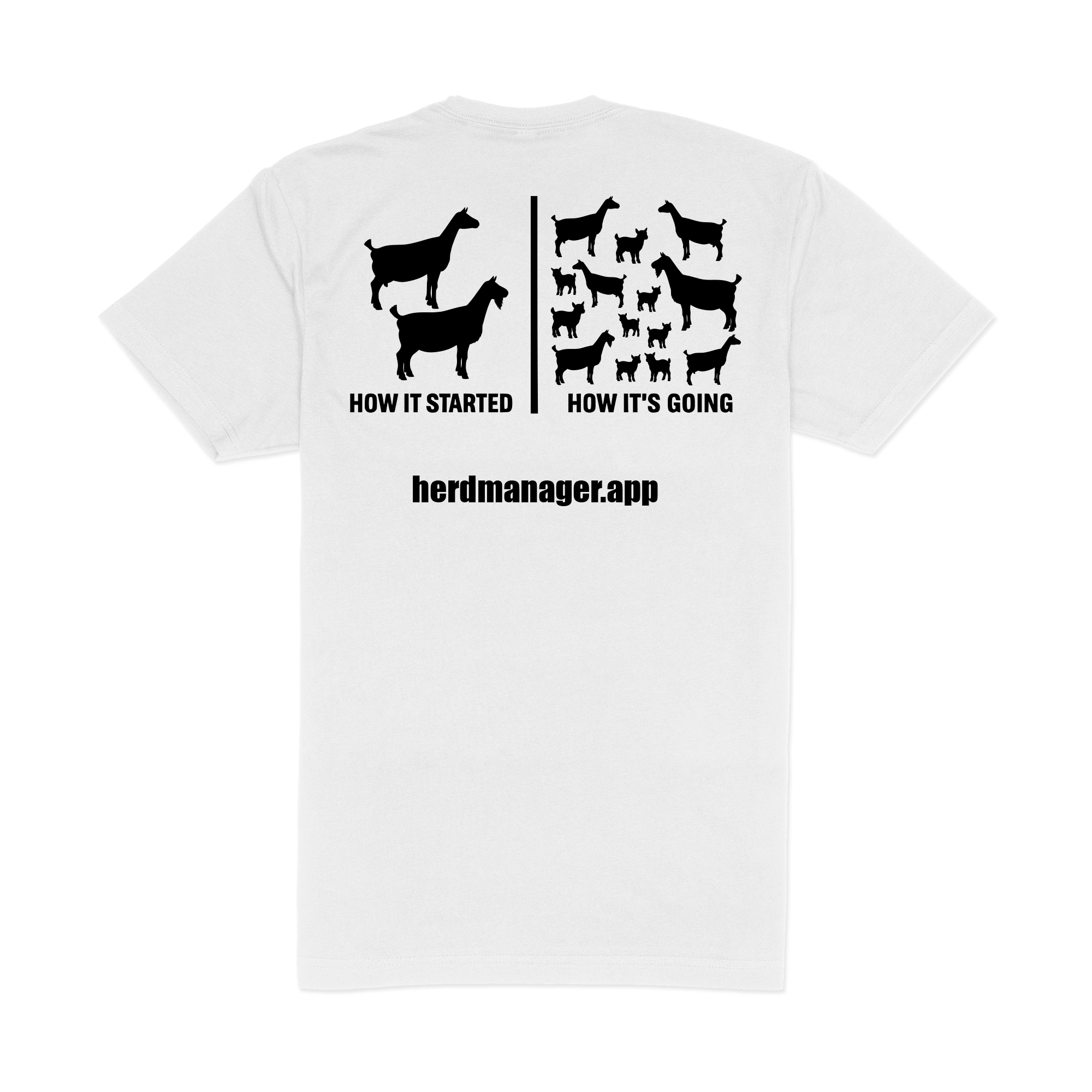 Logo Tee back — How It Started design