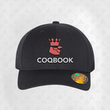 COQBOOK (full panel, embroidered snapback)