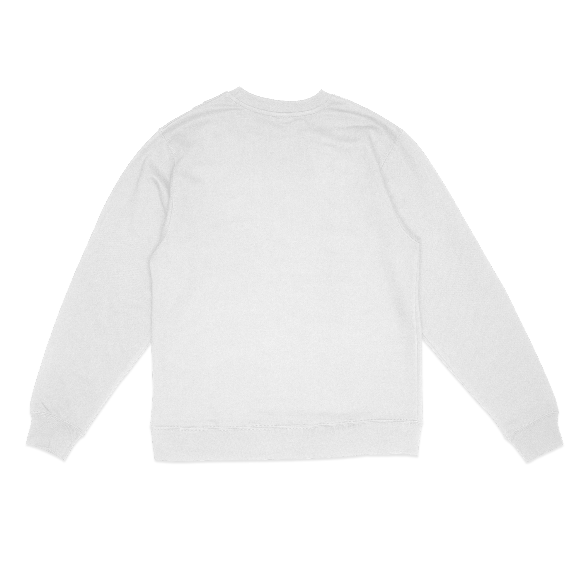 nszkkc38g00pu5e3pgq8ozwl_Back_main